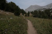 P1010244_tn.jpg P1010244_tn.jpg