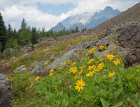 IMGP8893-copy-3.jpg IMGP8893-copy-3.jpg