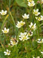 IMGP8899-copy-3.jpg IMGP8899-copy-3.jpg