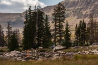 Middle Basin 9-170586.jpg