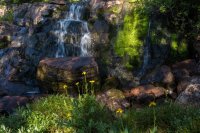 Middle Basin 9-170947.jpg