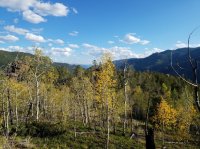 20170916_171459.jpg 20170916_171459.jpg