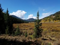 20170917_121755.jpg 20170917_121755.jpg