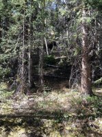 IMG_1704.JPG IMG_1704.JPG