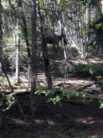 IMG_1705.JPG IMG_1705.JPG