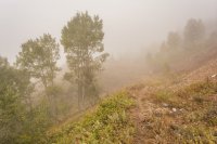 Alta Sunday 10-170102.jpg