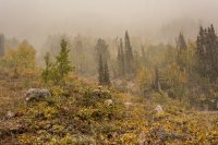 Alta Sunday 10-170139.jpg