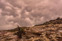 Capitol Reef-GSENM 20170491.jpg