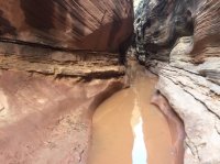 IMG_2979.JPG IMG_2979.JPG