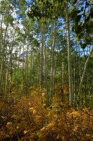 171006 Lake Blanche overnight 073 (852x1280).jpg