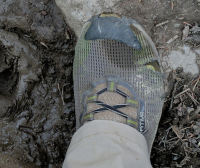 shoes.png shoes.png