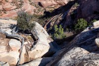 850.IMG_5352.jpg 850.IMG_5352.jpg