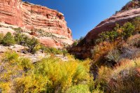 850.IMG_5386.jpg 850.IMG_5386.jpg