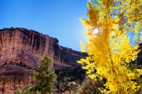 850.IMG_5408.jpg 850.IMG_5408.jpg