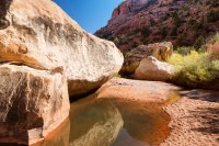 850.IMG_5414.jpg 850.IMG_5414.jpg