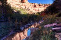 850.IMG_5422.jpg 850.IMG_5422.jpg