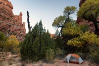 850.IMG_5479.jpg 850.IMG_5479.jpg