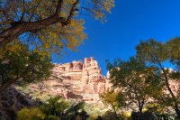 850.IMG_5531.jpg 850.IMG_5531.jpg