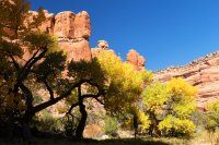 850.IMG_5534.jpg 850.IMG_5534.jpg