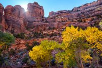 850.IMG_5537.jpg 850.IMG_5537.jpg