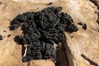 850.IMG_0229.jpg 850.IMG_0229.jpg