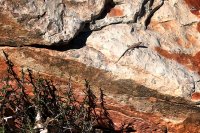 850.IMG_0240.jpg 850.IMG_0240.jpg