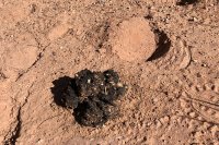 850.IMG_0249.jpg 850.IMG_0249.jpg