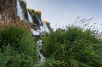 Solar Eclipse 2017 -Rigby0075 (1).jpg