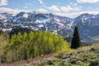 Guardsman Pass 6-170056.jpg