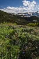 Guardsman Pass 6-170135.jpg