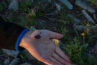 Guardsman Pass 6-170330.jpg