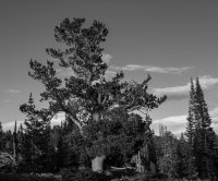 Guardsman Pass 6-170322 (1).jpg