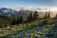 Guardsman Pass 6-170324.jpg