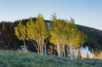 Guardsman Pass 6-170577.jpg