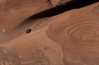 DSC04148.jpg DSC04148.jpg