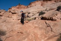 DSC04151.jpg DSC04151.jpg