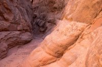 DSC04160.jpg DSC04160.jpg