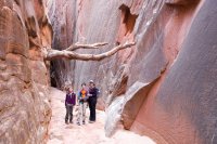 DSC04170.jpg DSC04170.jpg