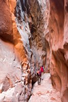 DSC04173.jpg DSC04173.jpg