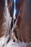 DSC04195.jpg DSC04195.jpg