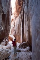 DSC04197.jpg DSC04197.jpg