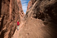 DSC04199.jpg DSC04199.jpg