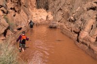 DSC04201.jpg DSC04201.jpg