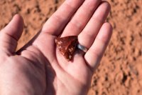 DSC04213.jpg DSC04213.jpg