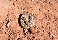 DSC04163.jpg DSC04163.jpg