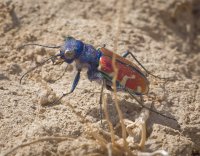 P3191204_DxO.jpg P3191204_DxO.jpg