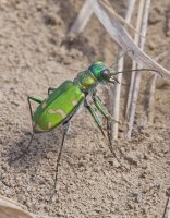 P3191278_DxO.jpg P3191278_DxO.jpg