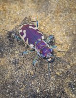 P6035040.jpg P6035040.jpg