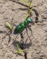 P6035076.jpg P6035076.jpg