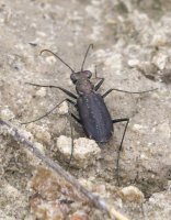 P6176045.jpg P6176045.jpg